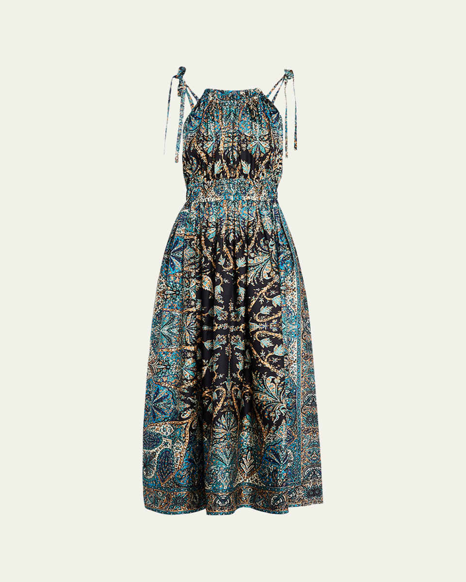 Joni Printed A-Line Maxi Dress